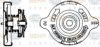 HELLA 8MY 376 742-121 Cap, radiator